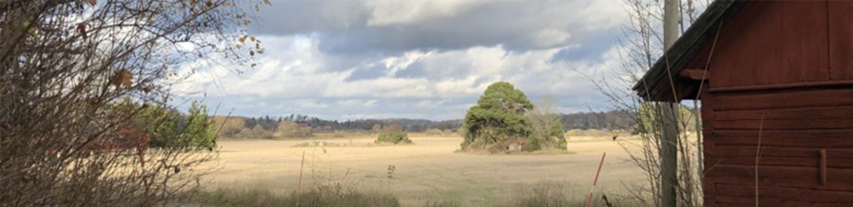 Miljöbild Årby Rusthåll. Tidig vår med grå moln på himlen.